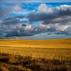 Golden fields Hi Res  